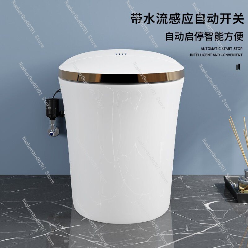 Smart Toilet Booster Pump Auto - Home Bathroom Pressure Pump 评论和价格